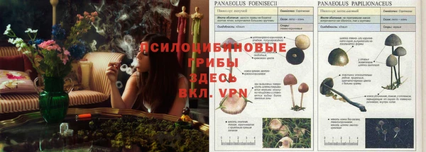 MDMA Premium VHQ Абдулино