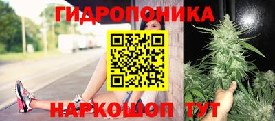 меф Гатчина