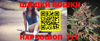 меф Гатчина