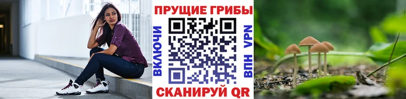 где можно купить наркотик  Егорьевск  Галлюциногенные грибы Cubensis 