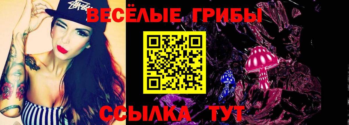 Псилоцибиновые грибы Psilocybe  Вход с VPN  что такое   Егорьевск 